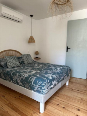 Agréable petite maison au cœur du minervois